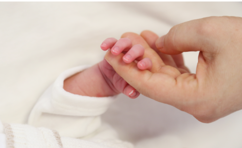 Nouveau congé de naissance ; ce que les crèches doivent anticiper